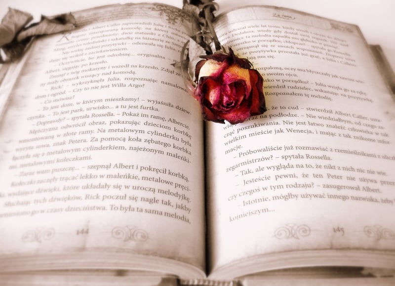 Book Reading